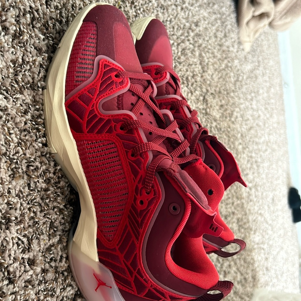 Air Jordan shoes. Very gently used condition!